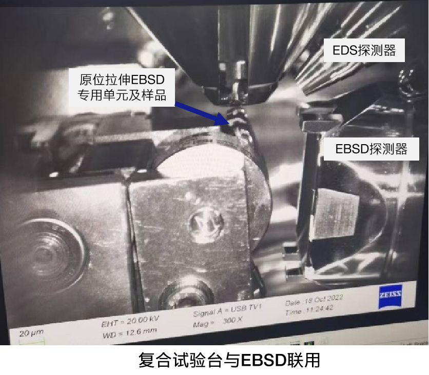 乐东蔡司乐东扫描电镜GEMINI