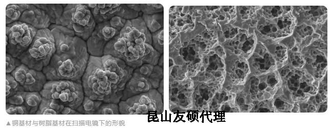 乐东蔡司乐东扫描电镜