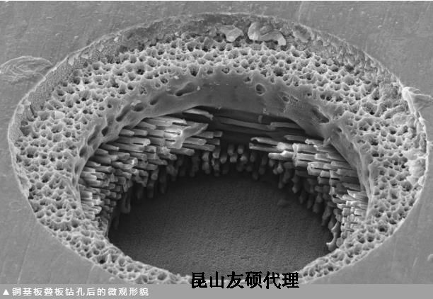 乐东蔡司乐东扫描电镜