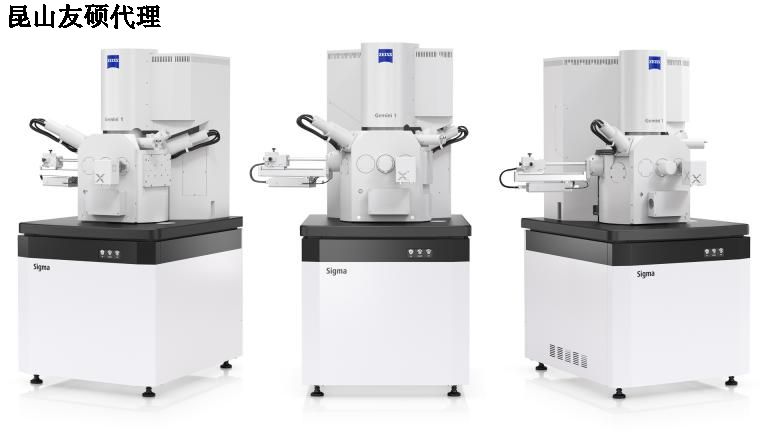 乐东蔡司乐东扫描电镜